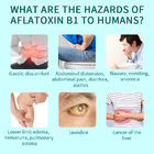 Anweisungen für die Bedienung der Aflatoxin-B1-Schnelltestkarte fournisseur