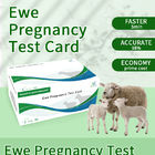 Anweisungen für die Testkarte für die frühe Schwangerschaft von Schafen fournisseur