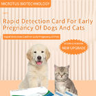 Anleitung für die frühen Schwangerschaftstests für Hunde und Katzen fournisseur