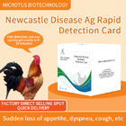 Antikörper-Schnelltestkarte gegen Newcastle-Krankheit von Hühnern fournisseur