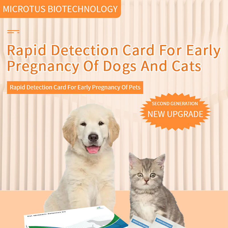 Anleitung für die frühen Schwangerschaftstests für Hunde und Katzen fournisseur