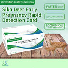 Sika Deer Frühschwangerschaft Schnellerkennungskarte Anweisungen fournisseur