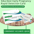 Sika Deer Frühschwangerschaft Schnellerkennungskarte Anweisungen fournisseur