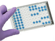 Test-Ausrüstung Chloromycetin (CAP) ELISA, medizinische Diagnosetest-Ausrüstungen fournisseur