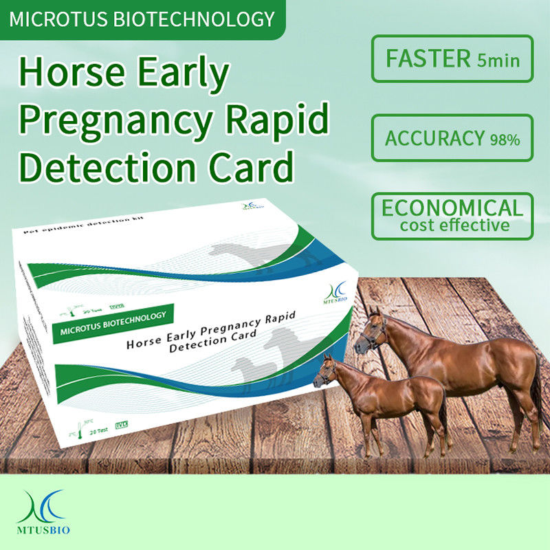 Schnellerkennkarte für frühe Schwangerschaften bei Pferden fournisseur