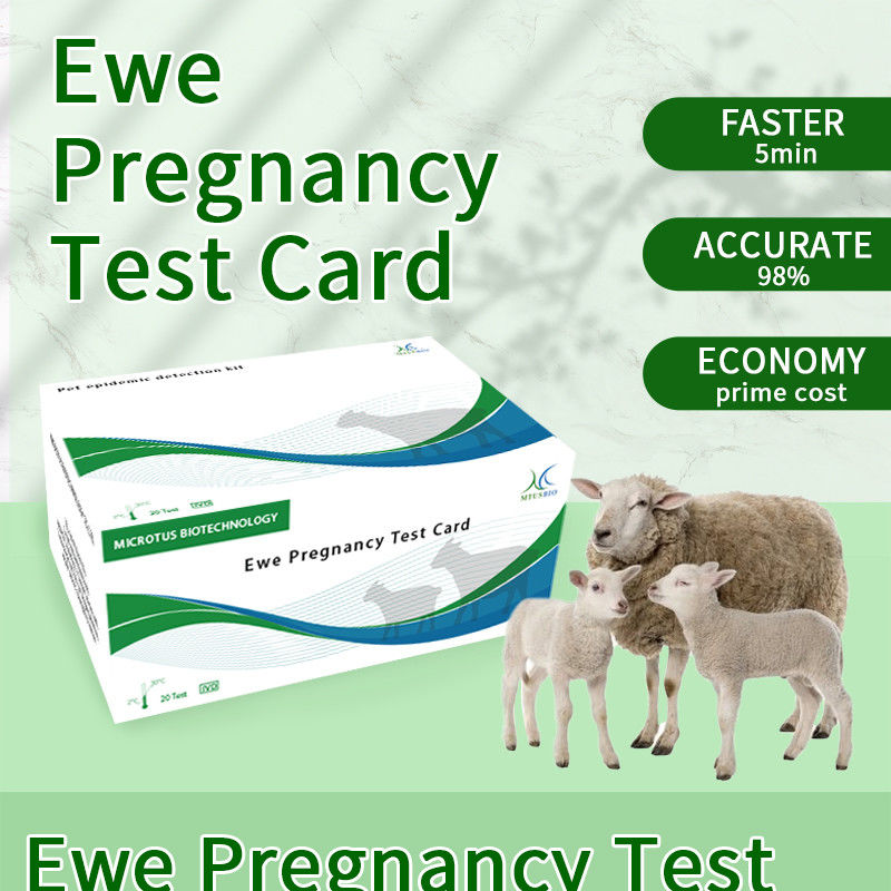 Anweisungen für die Testkarte für die frühe Schwangerschaft von Schafen fournisseur