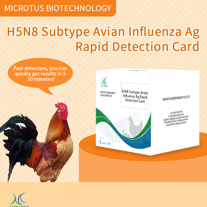 Anweisungen für die Karte zur schnellen Erkennung von Antigenen der Aviären Influenza (H5N8) fournisseur