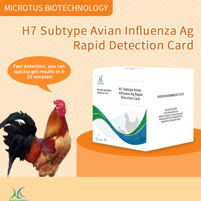 Karte für den schnellen Antigen-Test für den Subtyp Vogelgrippe (H7) fournisseur